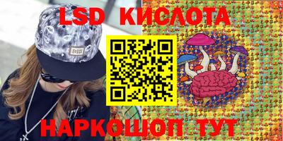 гидропоника Кингисепп