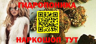 PSILOCYBIN Кимры