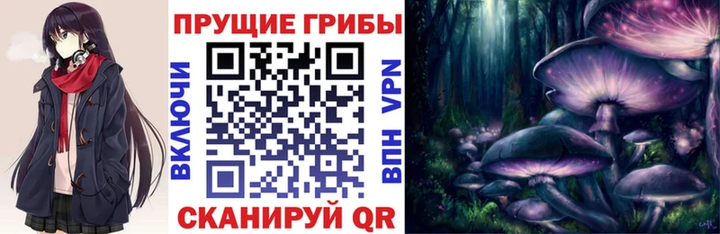 где можно купить Челябинск Псилоцибиновые грибы GOLDEN TEACHER