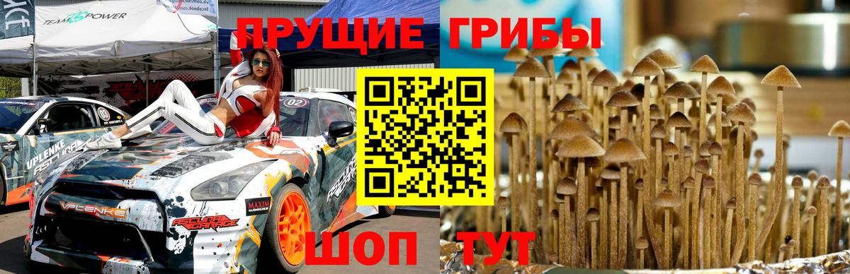 Псилоцибиновые грибы мухоморы  Вход с VPN  Челябинск  Псилоцибиновые грибы прущие грибы 